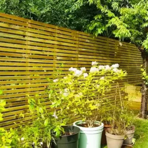 Fencing