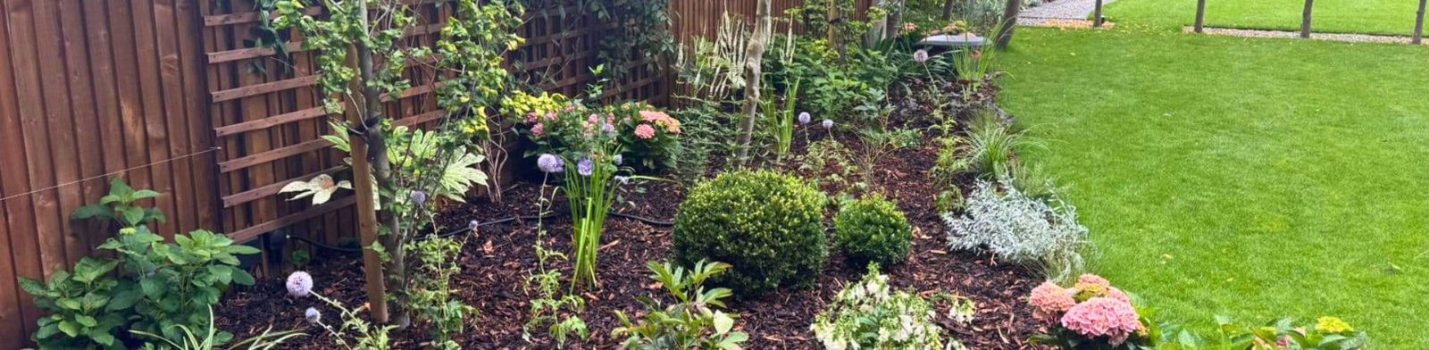 Exploring The Trend: Natural & Wild Planting Ideas